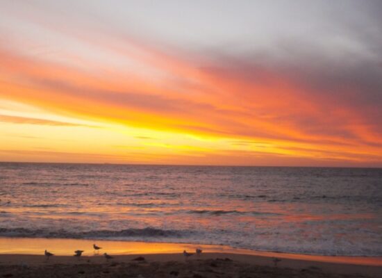 cropped-Sunset.jpg